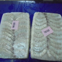 Frozen Vannamei Hlso Shrimps