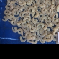 Frozen Pud Vannamei Shrimps