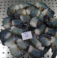 Frozen Scampi Hlso Shrimps