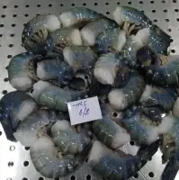 Frozen Scampi Hlso Shrimps