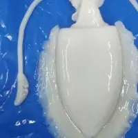 Frozen Cuttle Fish Whole Cleaned