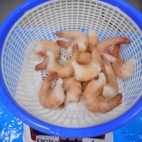 Frozen Iqf Shrimps