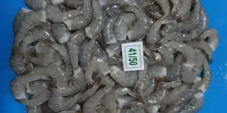 Management Image