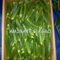 Indian Fresh Okra (Lady Finger) (Bhendi)