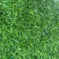 Indian Fresh Green Chilli