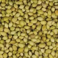 Indian Coriander Seeds