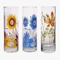 Printed Fancy Glass Tumblers