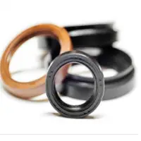 Rubber Seals
