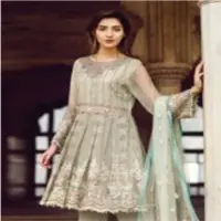Flosse Chiffon Embroidered Ladies Suit