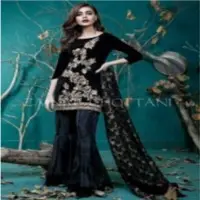 Velvet Embroidered Ladies Suit