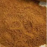 Coriandrum Sativum Extract