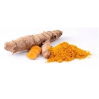 Curcuma Longa Extract