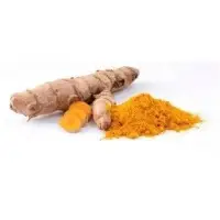 Curcuma Longa Extract