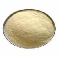 Allium Sativum Extract