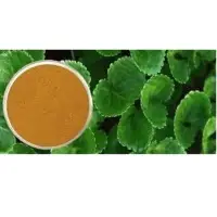 Centella Asiatica Extract