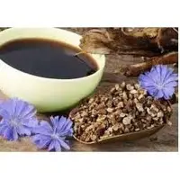 Roasted Chicory Extract
