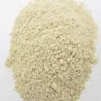 Allium Sativum Extracts