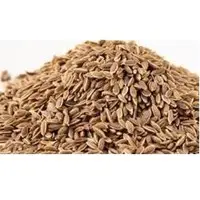 Anethum Sowa Seed Extracts