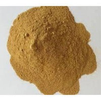 Cissus Quadrangularis Extract