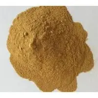 Cissus Quadrangularis Extract