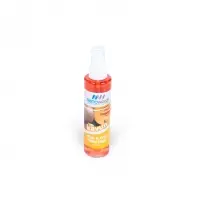 Melon Air Freshener For Car And Room 170 Ml