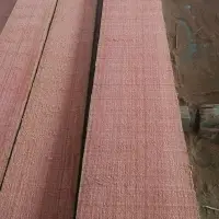 Cedar (Malapaga) Saw Timber