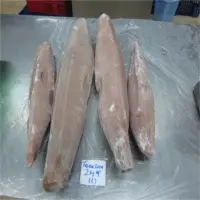 Tuna Fish