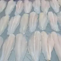Pangasius, Sutchi Fillet