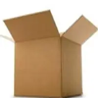 Paper Carrogated Box