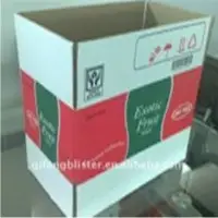 Paper Printed Box