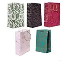 Paper Carry Bag