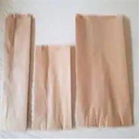 Paper Grocery Bag