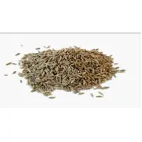 Cumin