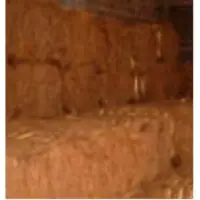 Mattress Fiber