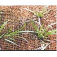 Coir Geotextile & Coco Net