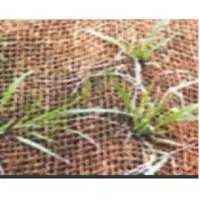 Coir Geotextile & Coco Net