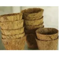 Coir Pots