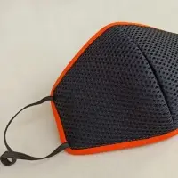 Reusable Mask