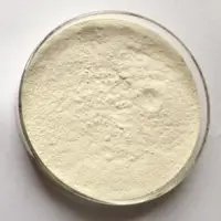 Tamarind Kernel Powder
