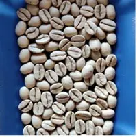Monsooned Malabar Coffees