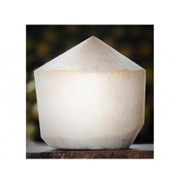 Fresh Young Coconut