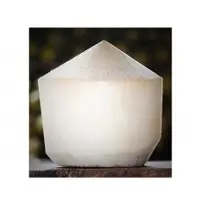 Fresh Young Coconut