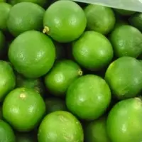Fresh Lime