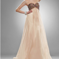 Champagne Strapless Sweetheart Dress