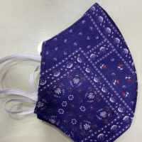 Fabric Masks