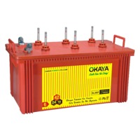 Inverter Battery