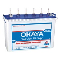 Inverter Battery