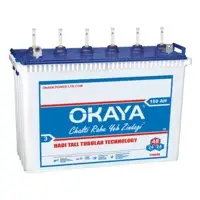 Inverter Battery
