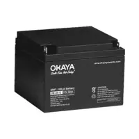 SMF Battery