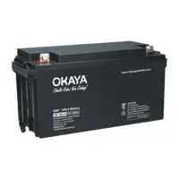 SMF Battery